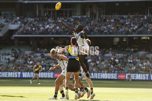 AFL 2024 Round 02 - Richmond v Port Adelaide - A-46678229