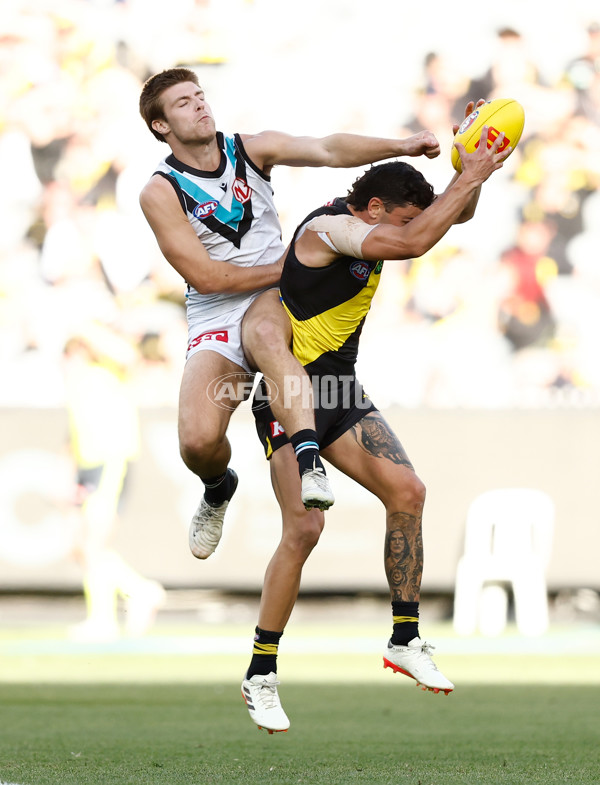 AFL 2024 Round 02 - Richmond v Port Adelaide - A-46679196