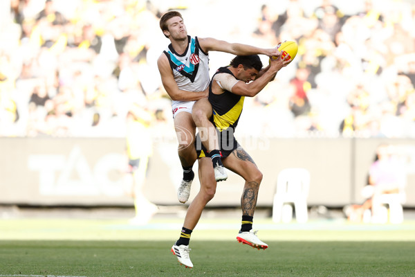 AFL 2024 Round 02 - Richmond v Port Adelaide - A-46679197