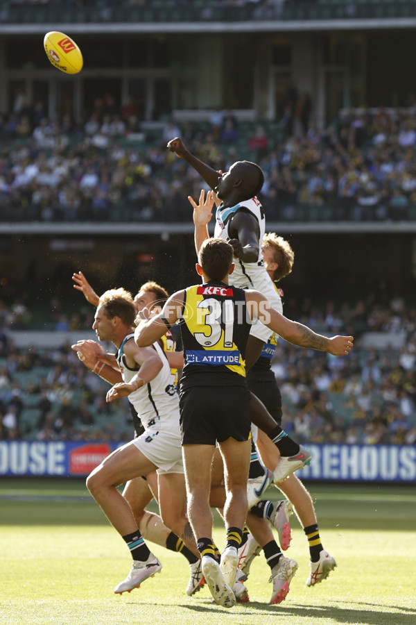 AFL 2024 Round 02 - Richmond v Port Adelaide - A-46679198