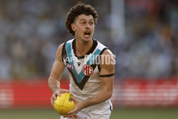 AFL 2024 Round 02 - Richmond v Port Adelaide - A-46679245