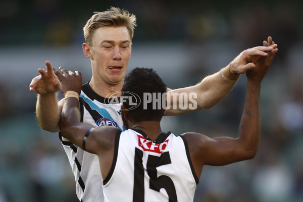 AFL 2024 Round 02 - Richmond v Port Adelaide - A-46679251