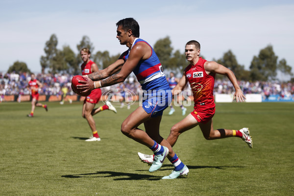 AFL 2024 Round 02 - Western Bulldogs v Gold Coast - A-46679269