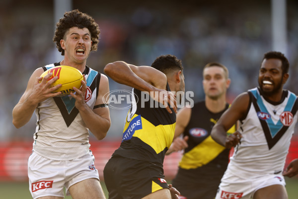 AFL 2024 Round 02 - Richmond v Port Adelaide - A-46680794