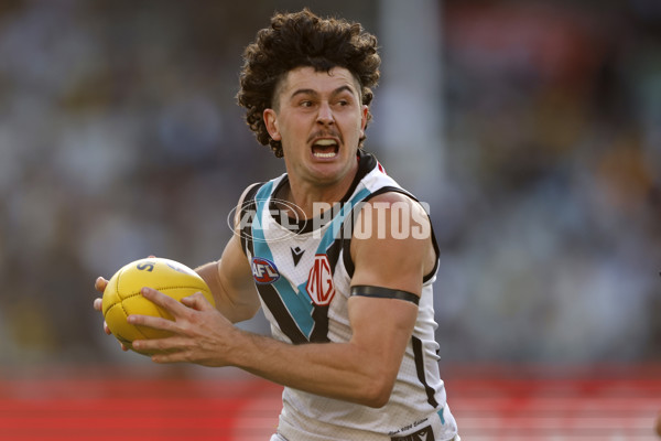 AFL 2024 Round 02 - Richmond v Port Adelaide - A-46680799