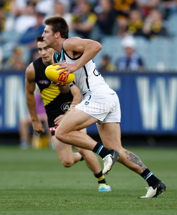 AFL 2024 Round 02 - Richmond v Port Adelaide - A-46680812