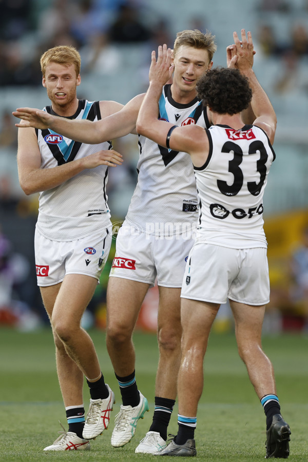 AFL 2024 Round 02 - Richmond v Port Adelaide - A-46680817