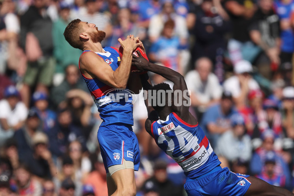 AFL 2024 Round 02 - Western Bulldogs v Gold Coast - A-46680825