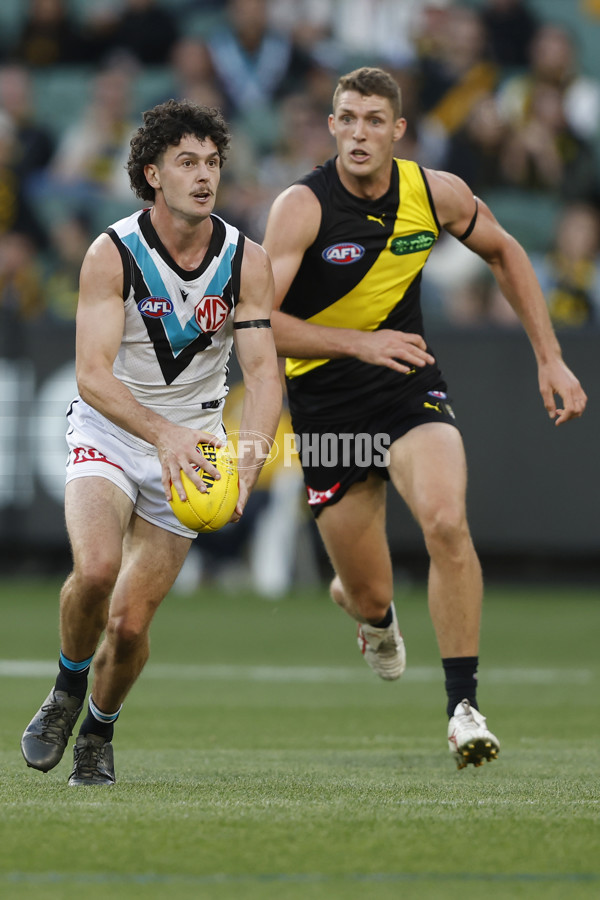 AFL 2024 Round 02 - Richmond v Port Adelaide - A-46680852