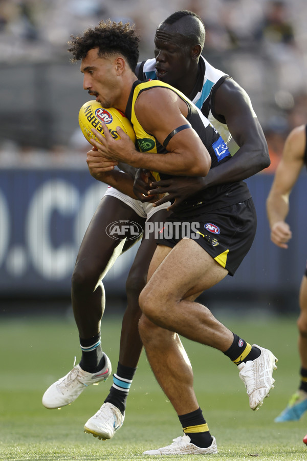 AFL 2024 Round 02 - Richmond v Port Adelaide - A-46681699