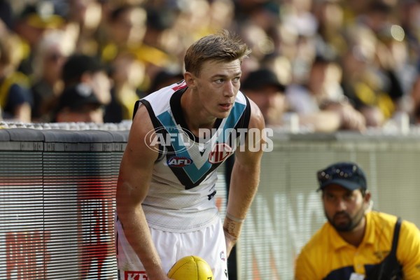 AFL 2024 Round 02 - Richmond v Port Adelaide - A-46681732