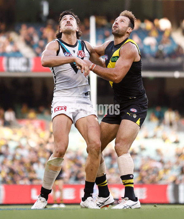 AFL 2024 Round 02 - Richmond v Port Adelaide - A-46684140