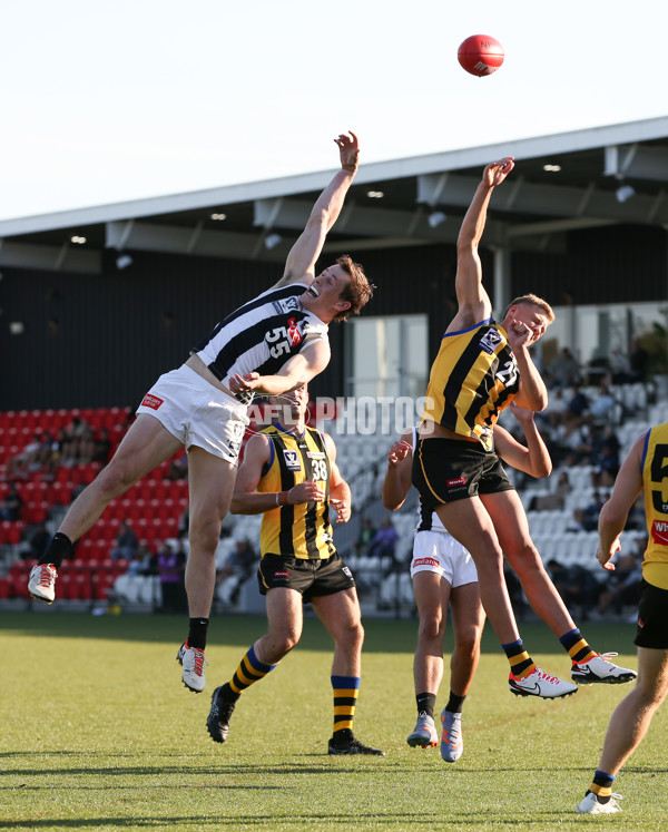 VFL 2024 Round 01 - Sandringham v Collingwood - A-46707395