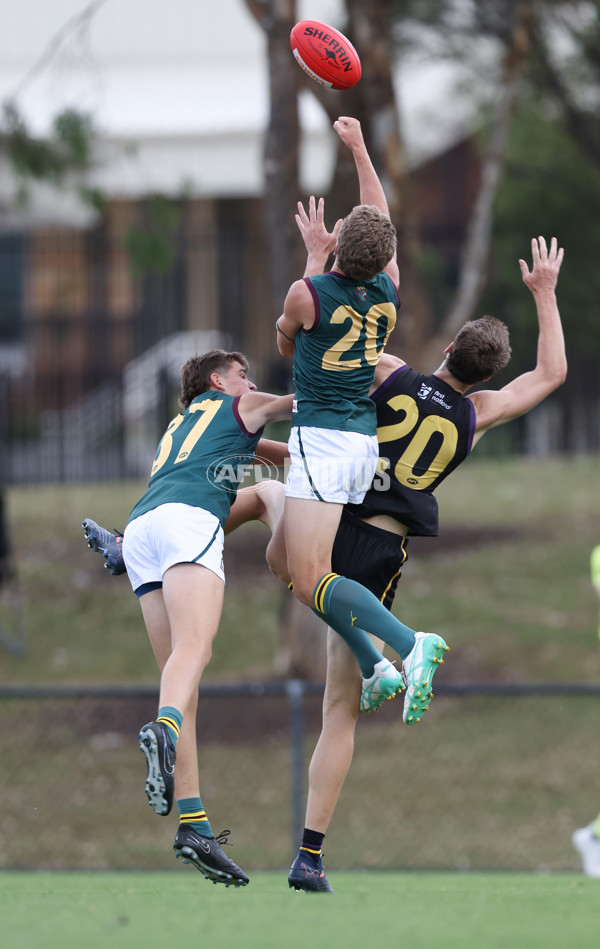 Coates League Boys 2024 - Murray Bushrangers v Tasmania Devils - A-46707398