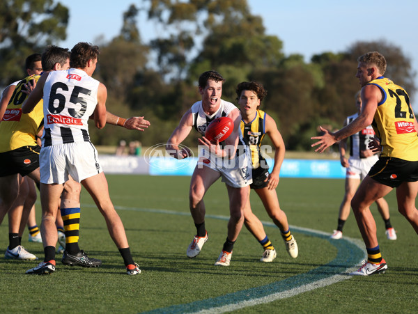 VFL 2024 Round 01 - Sandringham v Collingwood - A-46707422