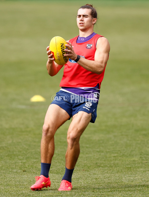 AFL 2024 Training - Geelong 260324 - A-46727511