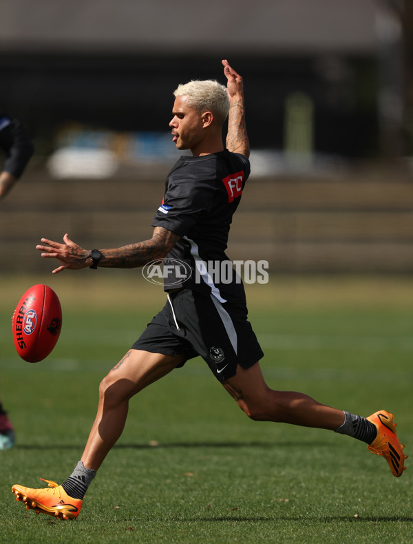 AFL 2024 Training - Collingwood 270324 - A-46730251