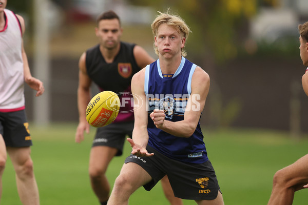 AFL 2024 Training - Hawthorn 280324 - A-46736434