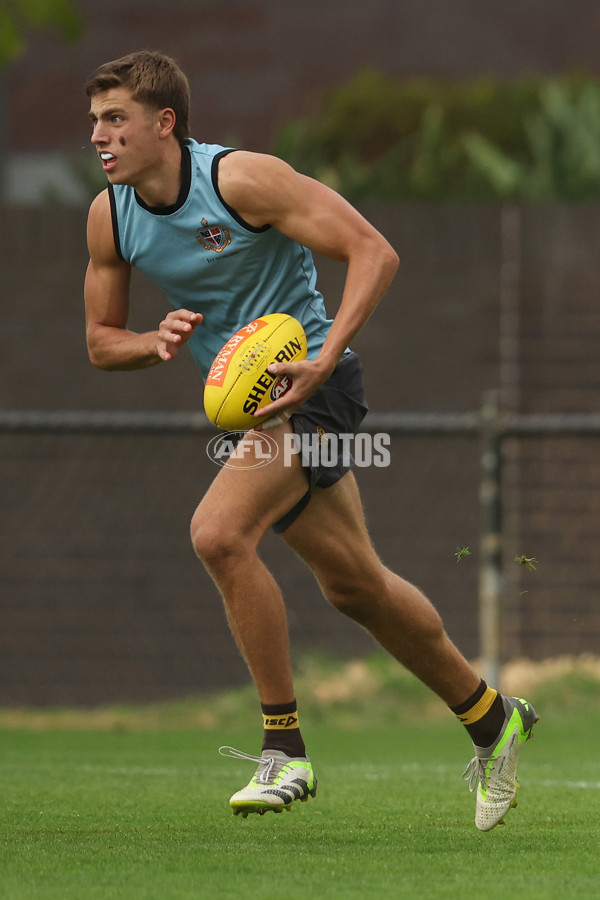 AFL 2024 Training - Hawthorn 280324 - A-46737577