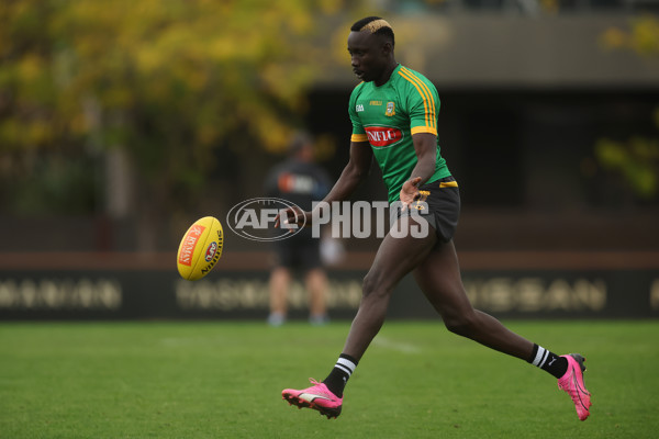 AFL 2024 Training - Hawthorn 280324 - A-46737605