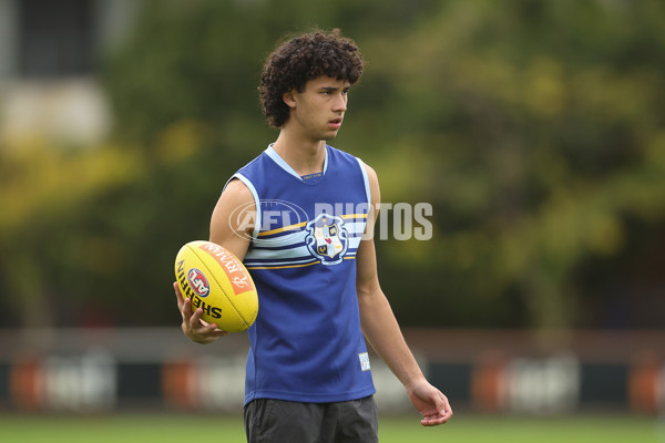 AFL 2024 Training - Hawthorn 280324 - A-46739579