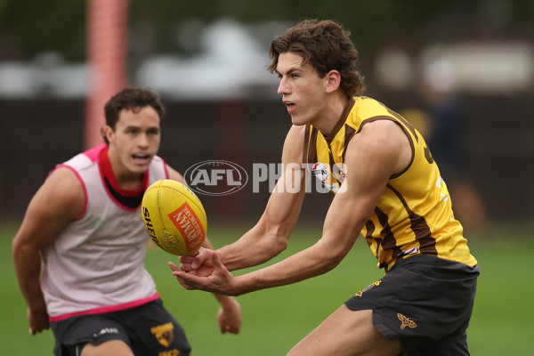 AFL 2024 Training - Hawthorn 280324 - A-46739611