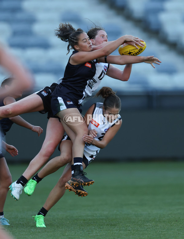 Coates League Girls 2024 - Geelong Falcons v GWV Rebels - A-46739652