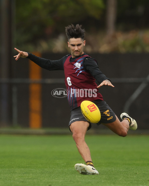 AFL 2024 Training - Hawthorn 280324 - A-46740480