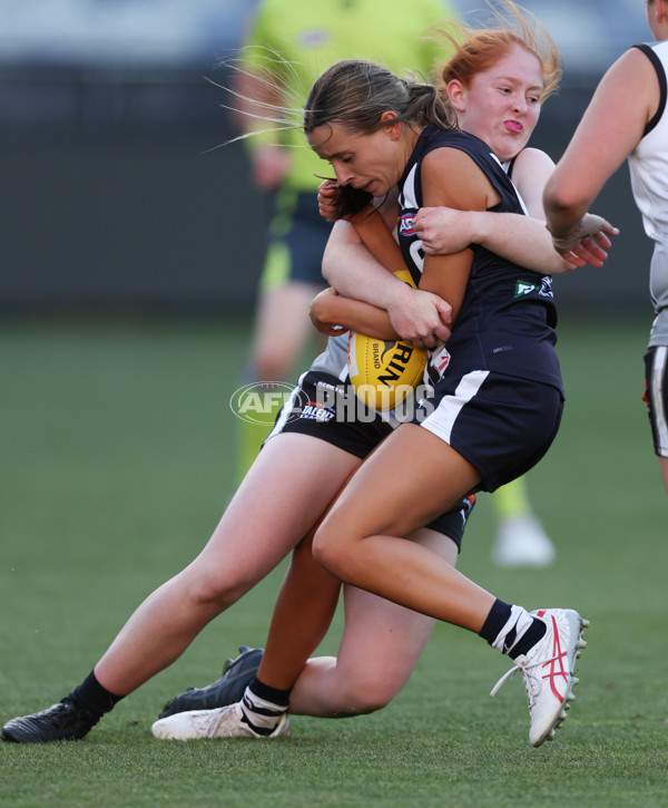 Coates League Girls 2024 - Geelong Falcons v GWV Rebels - A-46748348