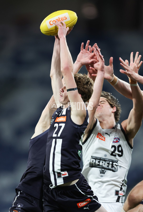 Coates League Boys 2024 - Geelong Falcons v GWV Rebels - A-46749807