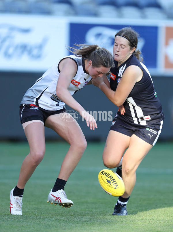 Coates League Girls 2024 - Geelong Falcons v GWV Rebels - A-46749819