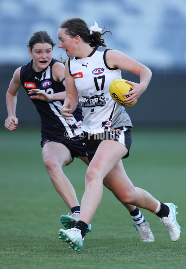 Coates League Girls 2024 - Geelong Falcons v GWV Rebels - A-46749826