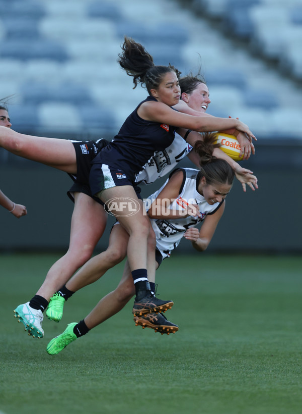 Coates League Girls 2024 - Geelong Falcons v GWV Rebels - A-46749827