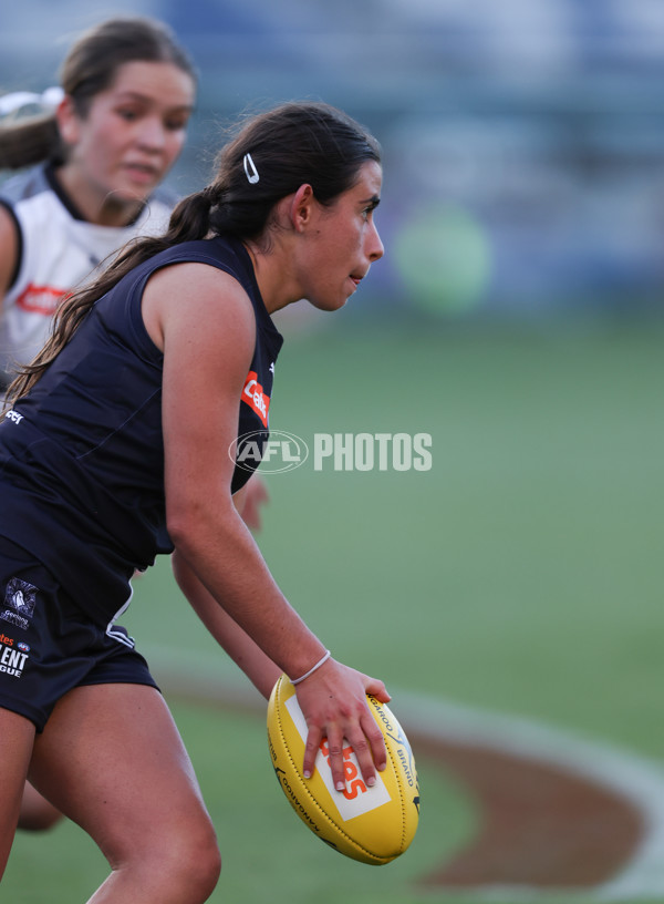 Coates League Girls 2024 - Geelong Falcons v GWV Rebels - A-46749842