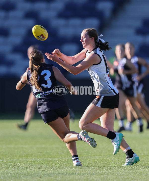 Coates League Girls 2024 - Geelong Falcons v GWV Rebels - A-46752152