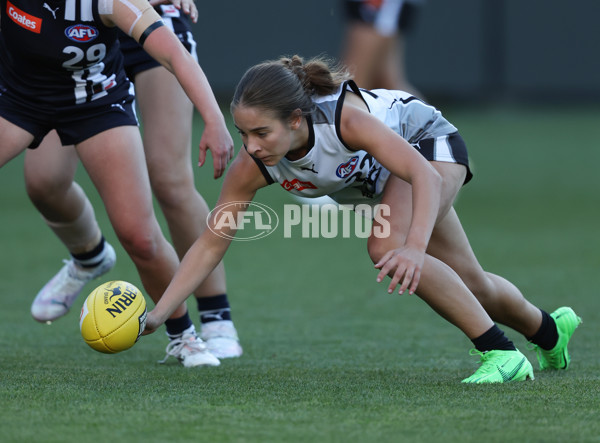 Coates League Girls 2024 - Geelong Falcons v GWV Rebels - A-46753608