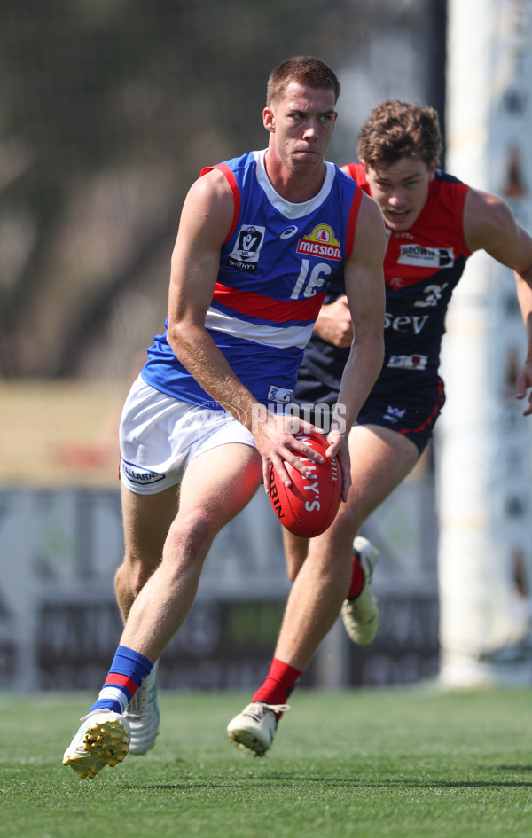 VFL 2024 Round 02 - Casey Demons v Footscray Bulldogs - A-46779010