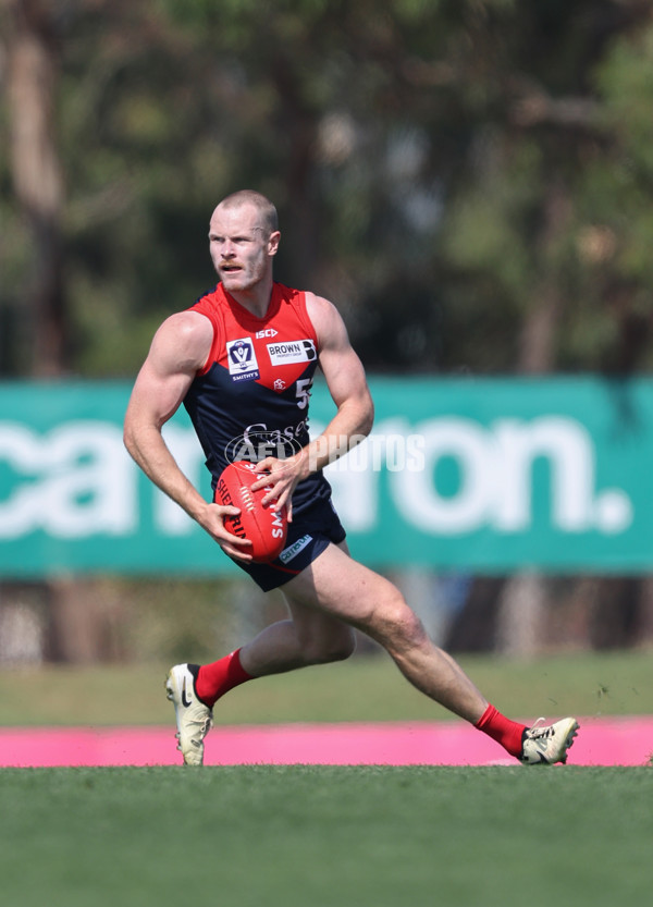 VFL 2024 Round 02 - Casey Demons v Footscray Bulldogs - A-46779507