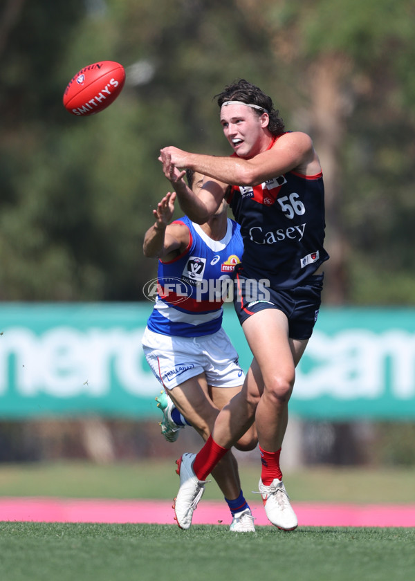 VFL 2024 Round 02 - Casey Demons v Footscray Bulldogs - A-46784163