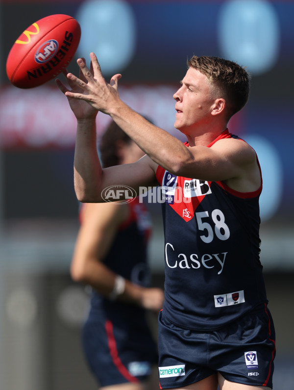 VFL 2024 Round 02 - Casey Demons v Footscray Bulldogs - A-46784164