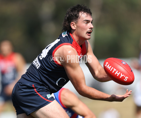 VFL 2024 Round 02 - Casey Demons v Footscray Bulldogs - A-46784167