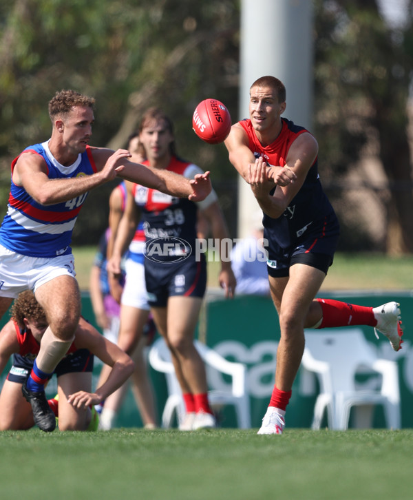 VFL 2024 Round 02 - Casey Demons v Footscray Bulldogs - A-46784170