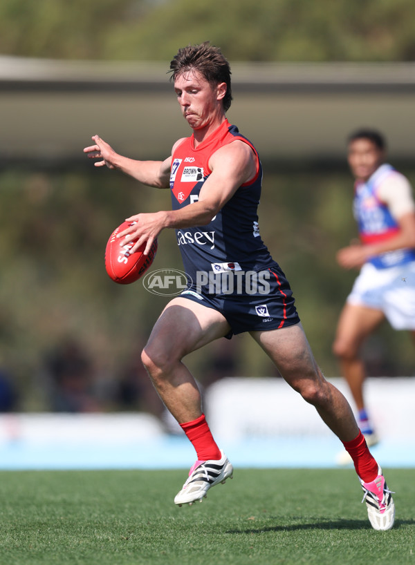 VFL 2024 Round 02 - Casey Demons v Footscray Bulldogs - A-46784260