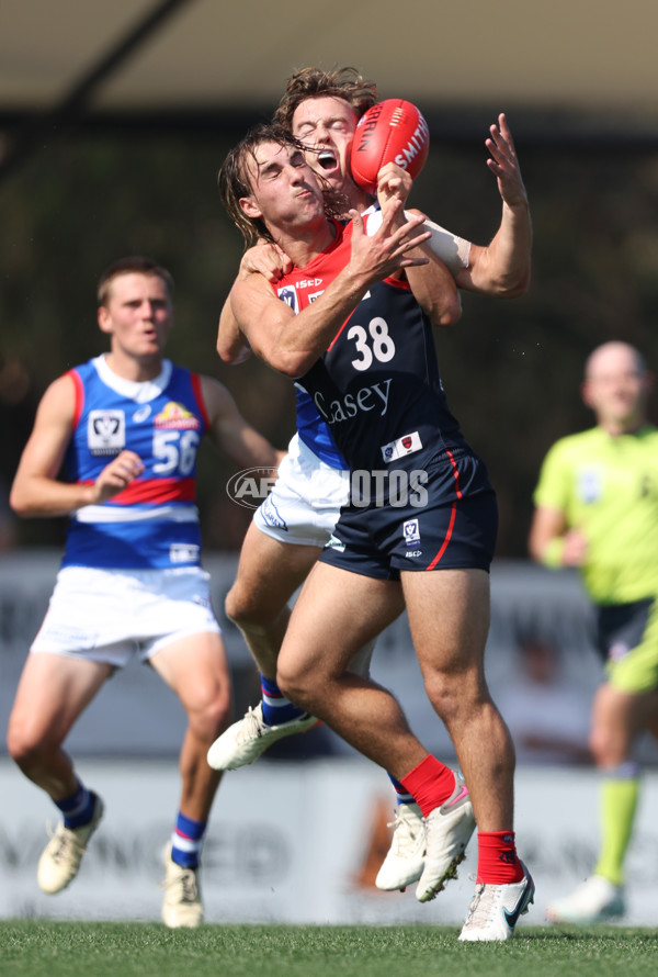 VFL 2024 Round 02 - Casey Demons v Footscray Bulldogs - A-46784263