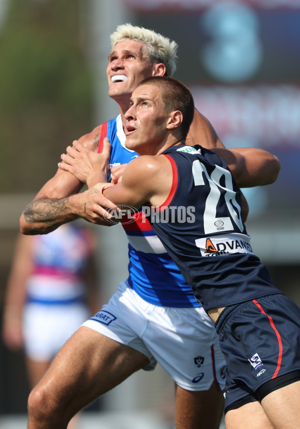 VFL 2024 Round 02 - Casey Demons v Footscray Bulldogs - A-46784264