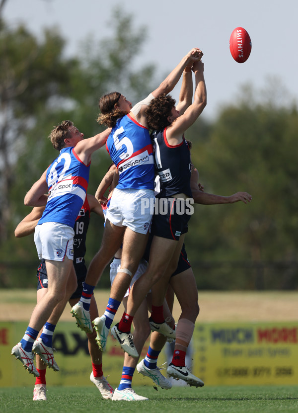 VFL 2024 Round 02 - Casey Demons v Footscray Bulldogs - A-46784265