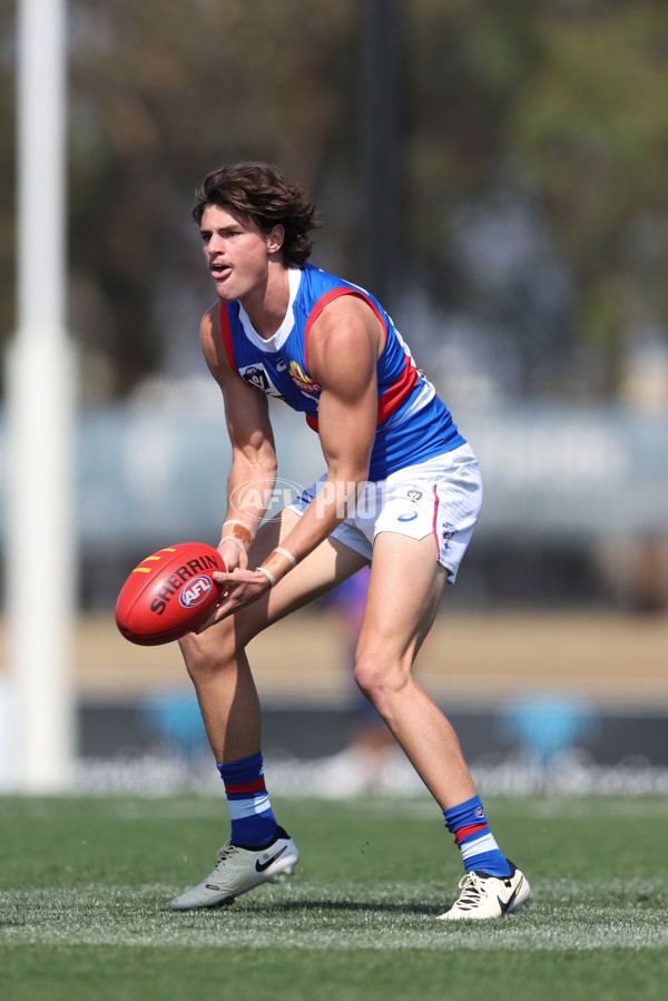 VFL 2024 Round 02 - Casey Demons v Footscray Bulldogs - A-46784267