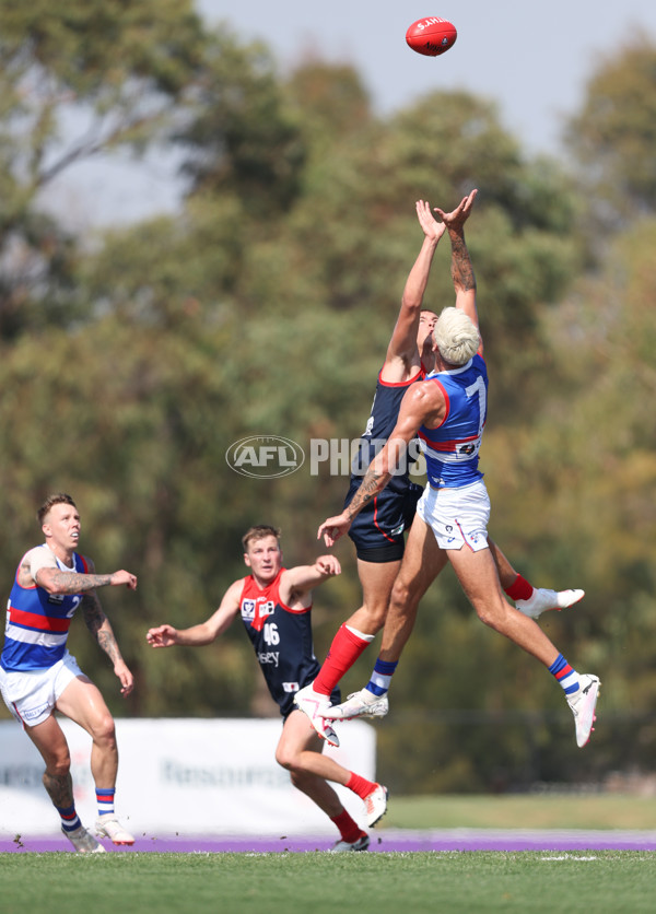 VFL 2024 Round 02 - Casey Demons v Footscray Bulldogs - A-46789005