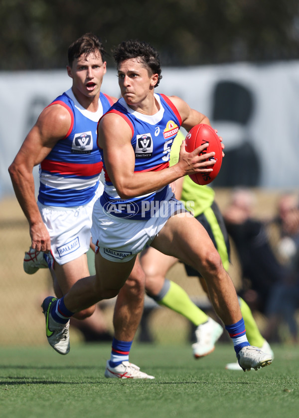 VFL 2024 Round 02 - Casey Demons v Footscray Bulldogs - A-46789041