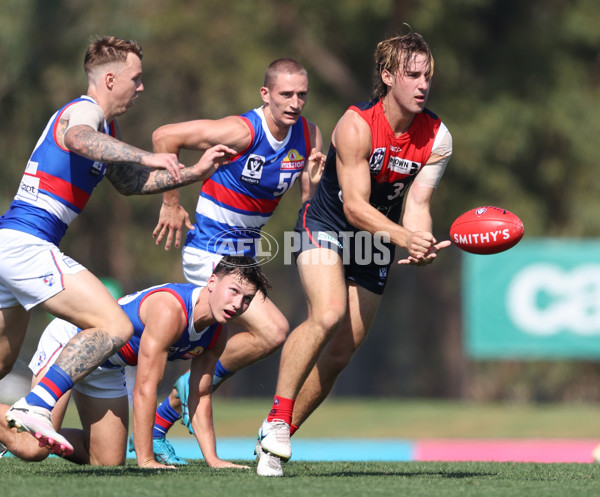 VFL 2024 Round 02 - Casey Demons v Footscray Bulldogs - A-46789395